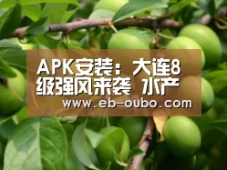 APK安装