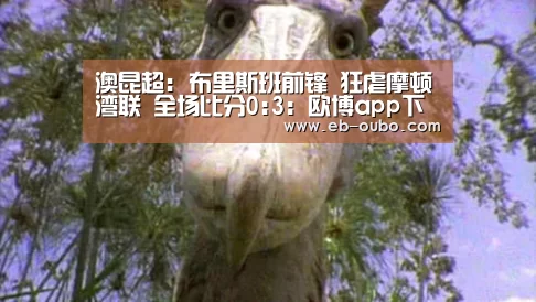 澳昆超: 布里斯班前锋 狂虐摩顿湾联 全场比分0:3:欧博app下载(图1) 欧博app下载