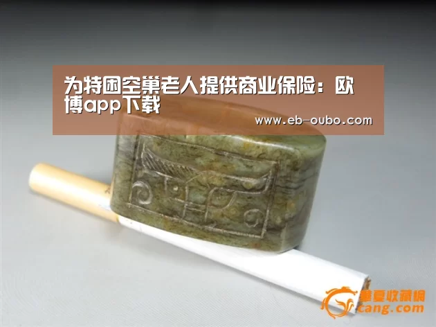 为特困空巢老人提供商业保险:欧博app下载(图1) 欧博app下载