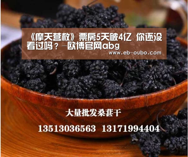 《摩天营救》票房5天破4亿 你还没看过吗?-欧博官网abg(图1) 欧博官网abg