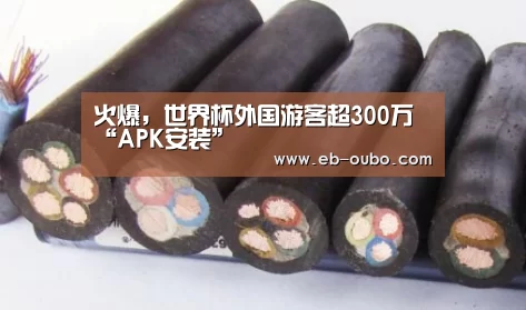 火爆,世界杯外国游客超300万“APK安装”(图2) 欧博app下载