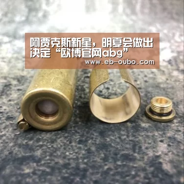 阿贾克斯新星,明夏会做出决定“欧博官网abg”(图1) APK安装